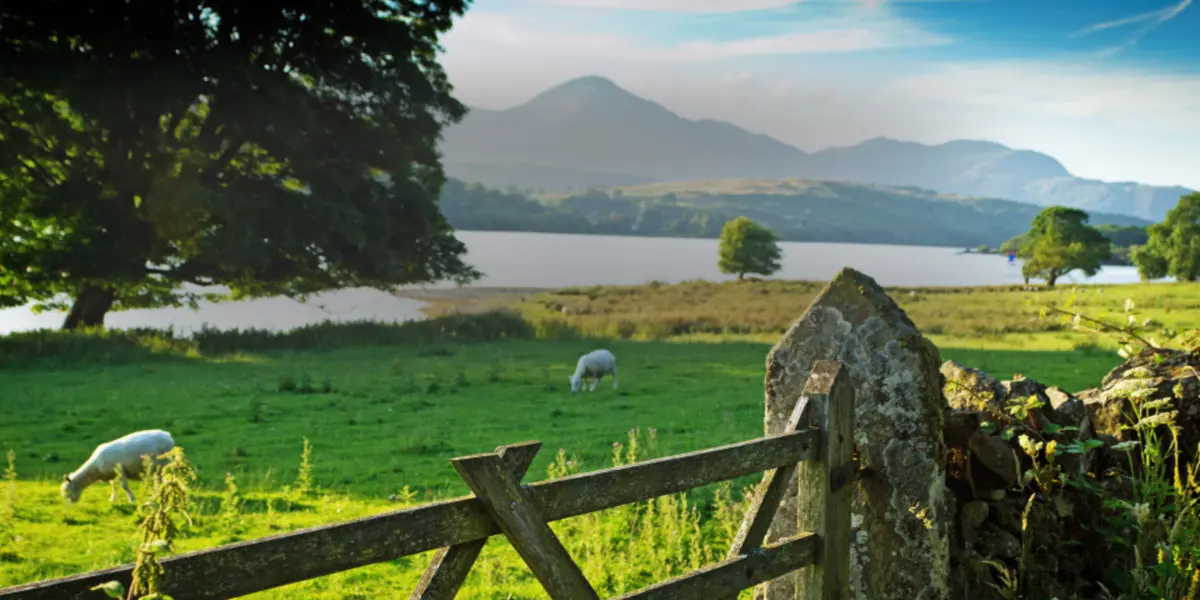 Windermere & the Lake District