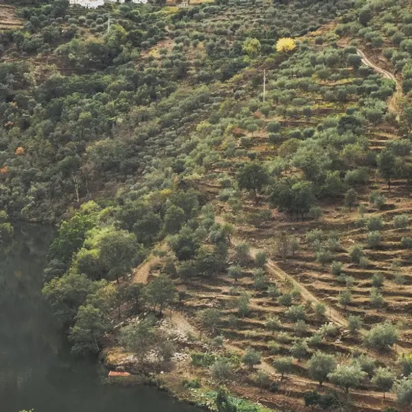 5 Best Things to Do in Portugal