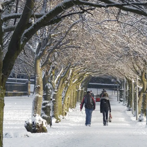 6 Best Scottish Winter Traditions to Try