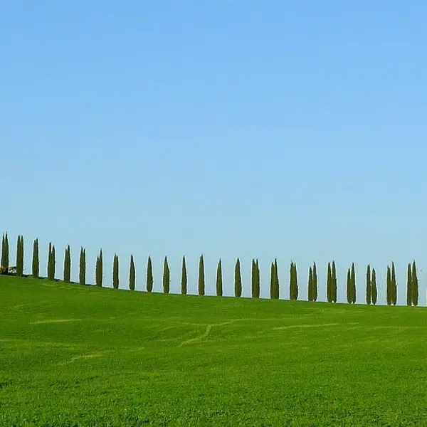 6 Reasons to Visit Tuscany