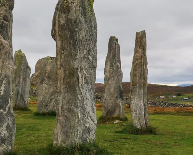 standing stones in a field