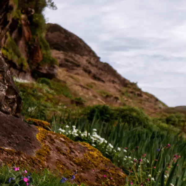A Mini Adventure in Scotland in Miniature