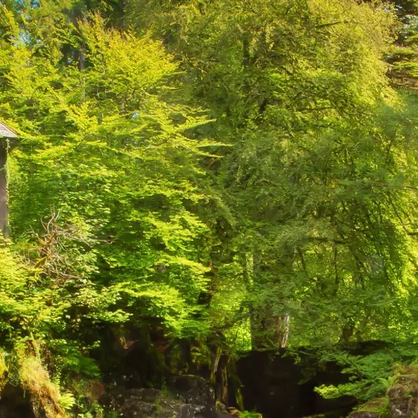 Best One-Day Tours from Edinburgh: Have a Magical Day with Rabbie’s