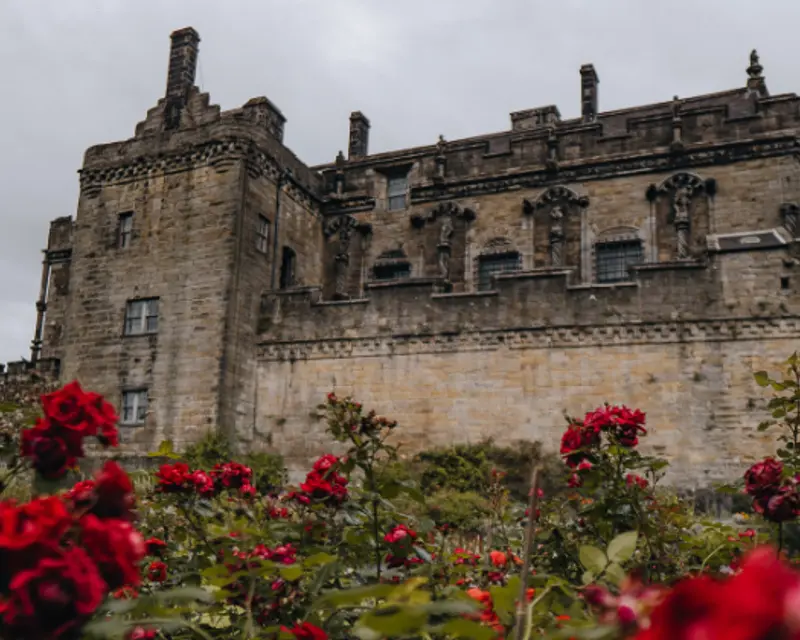 red roses in a garden underneath a stone castle