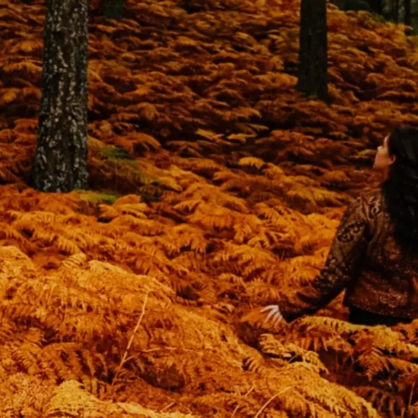 How to Celebrate the Autumnal Equinox This Year