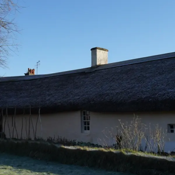 Robert Burns: His Life and Legacy