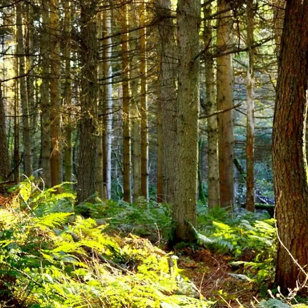 Self-driving Cars and Changing Attitudes: Our CEO Talks Sustainable Travel