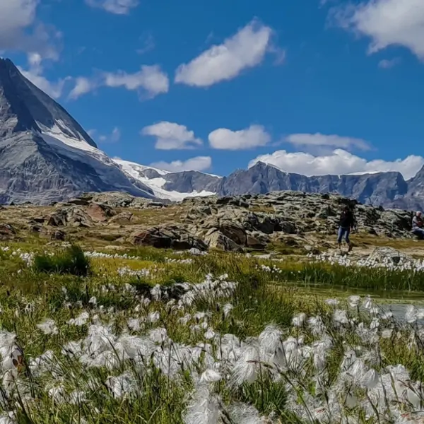 Switzerland Travel Guide: What You Need to Know