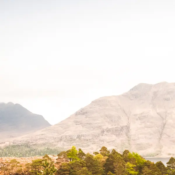 Top 5 Scottish Clans