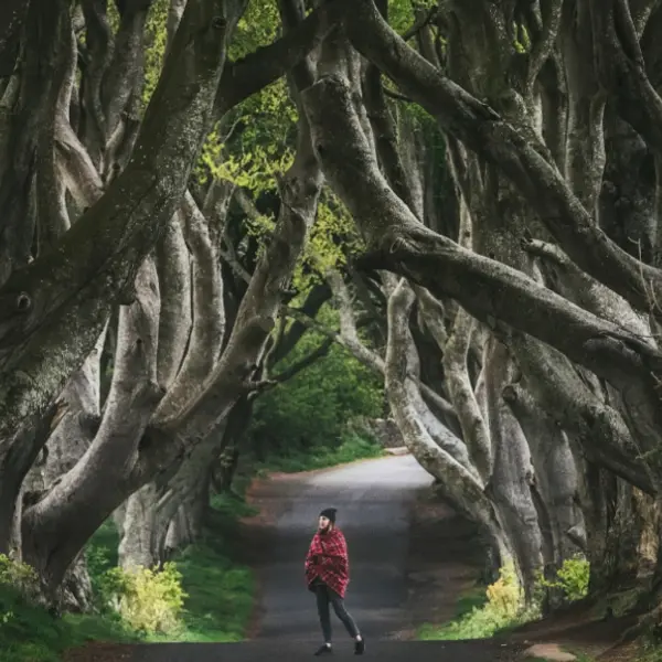 Where to See the Best Game of Thrones Locations in Northern Ireland