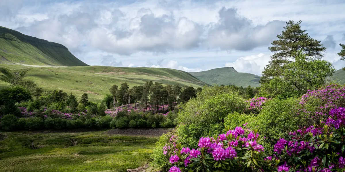 Legendary Castles & Mountains of Wales