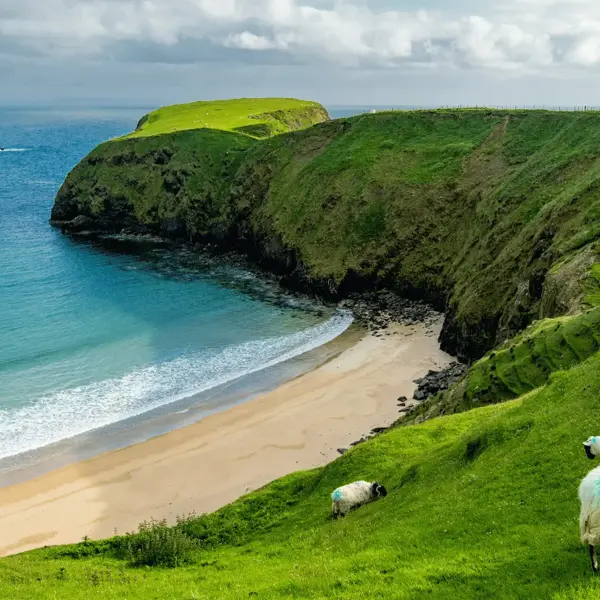 Travel to Ireland - What You Need to Know Before You Go
