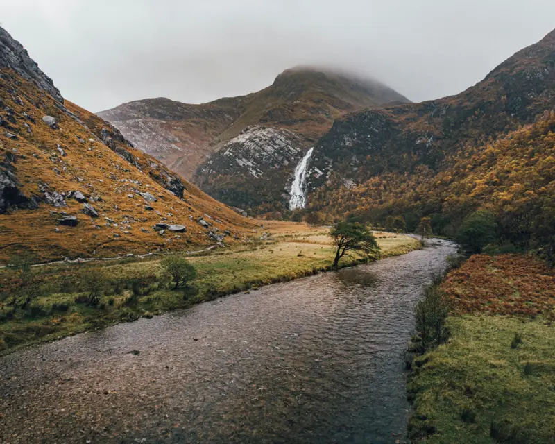 River and tree in a highland glen