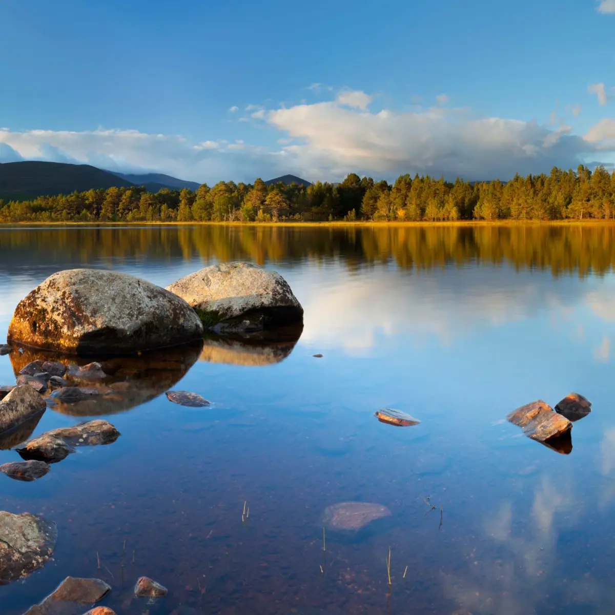 Into the Wild: A Walking Tour in the Scottish Highlands
