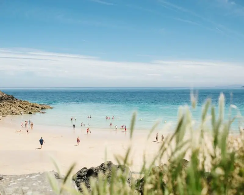 A sunny beach scene with people enjoying the water and sand, surrounded by clear blue skies and lush green grass.