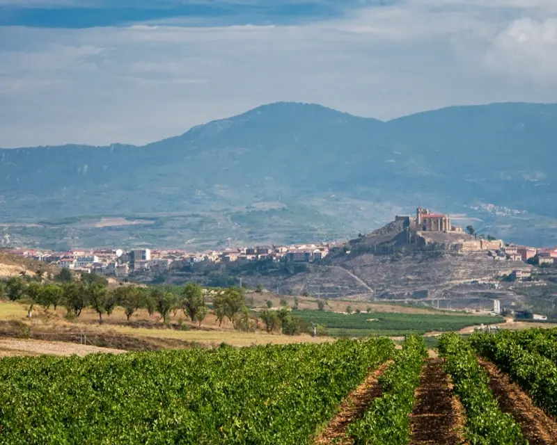 Scenic view of rolling vineyards with a distant castle on a hill under a blue sky, capturing the charm of rural landscapes.