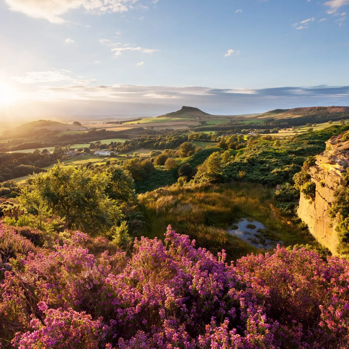 Tales of Wild Yorkshire Moors & Whitby