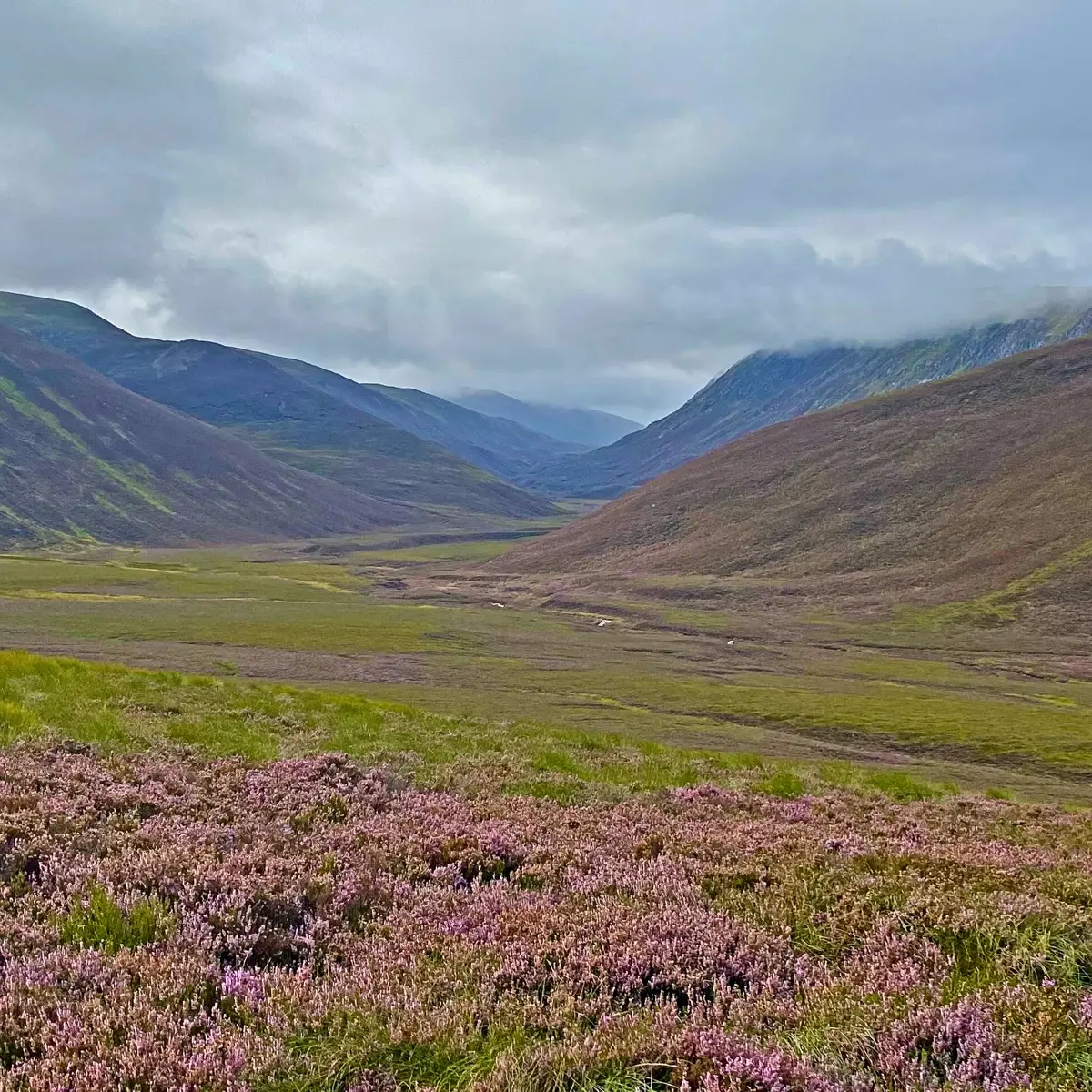 Scottish Highlands Walking Tour 1 Day Tour scottish-highlands-walking-tour-1-day-tour