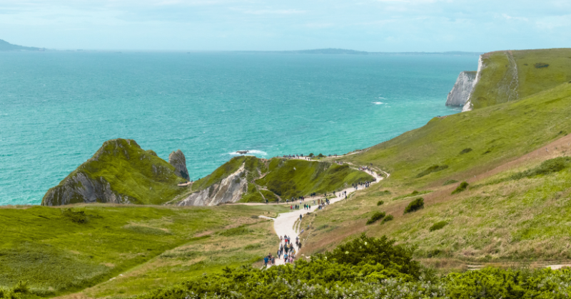 durdle door 2 rabbies