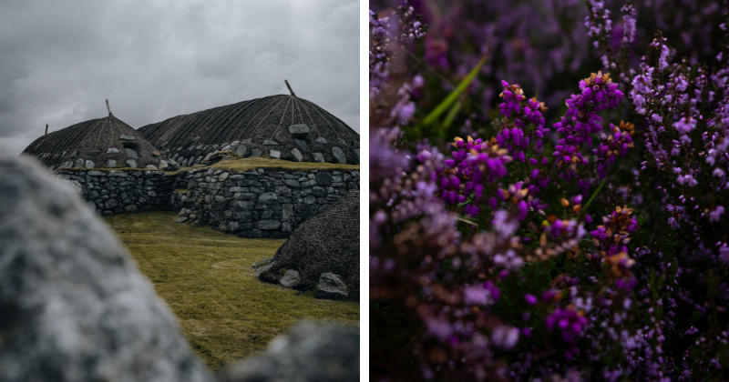 arnol blackhouse and heather