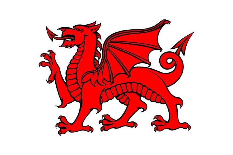 Stunning Glass Welsh Dragon Y Ddraig Goch The Red Dragon Of Wales. 