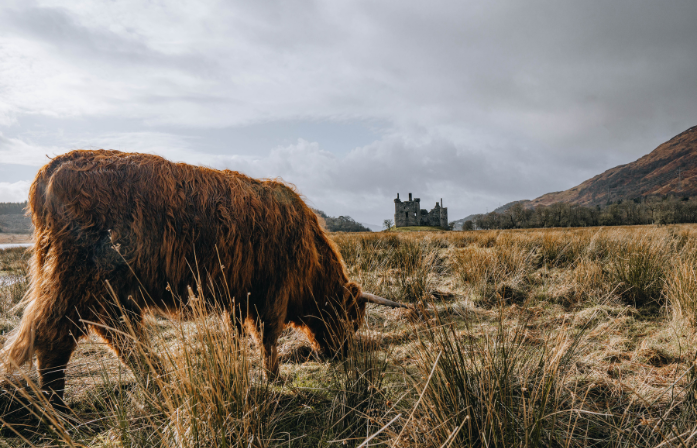 West Highland Lochs & Castles - 1 day tour