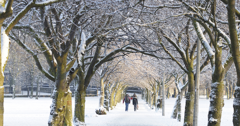 two people walking through the snow covered meadows in Edinburgh