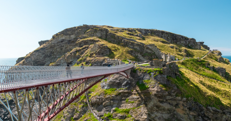 tintagel-rabbies-tours