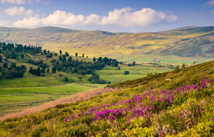 Cairngorms National Park