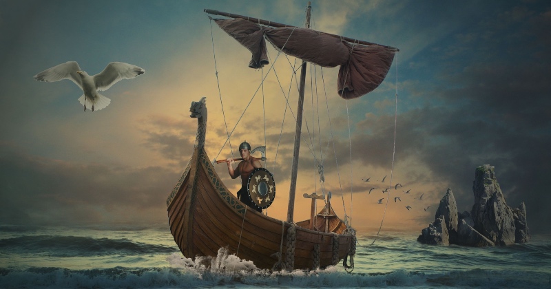 Viking at sea