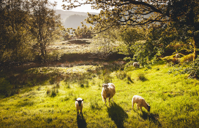 The Lake District