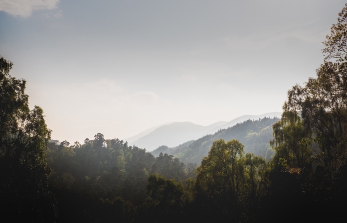 Glen Affric Skyline