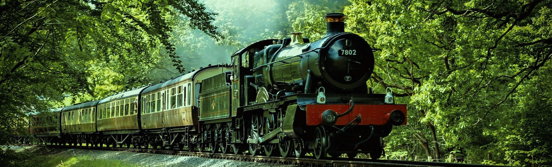 a vintage train driving along a track through a lush green forest