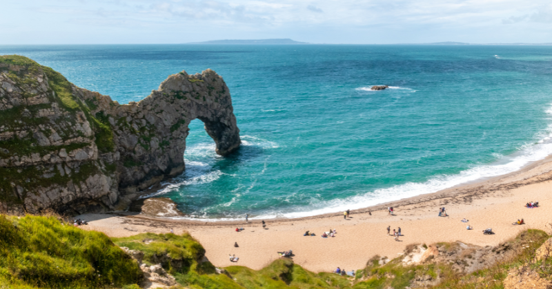 durdle door rabbies