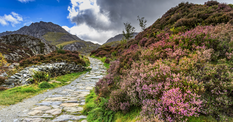 snowdonia