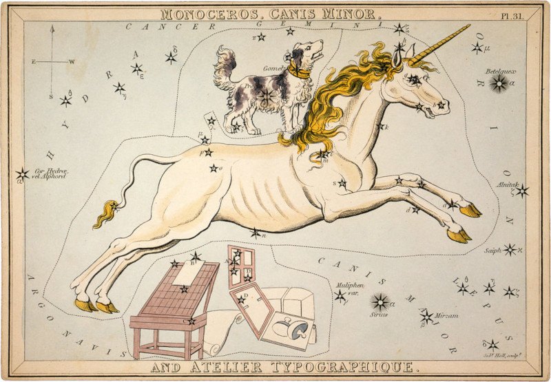 The Unicorn: Learn About Scotland's National Animal | Rabbie's