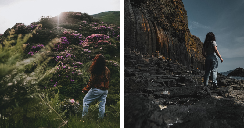 flowers and staffa