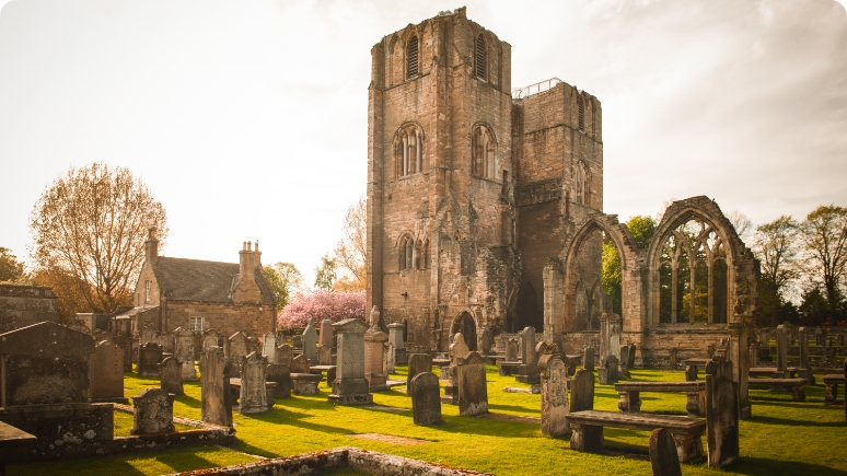 scotland tours by locals