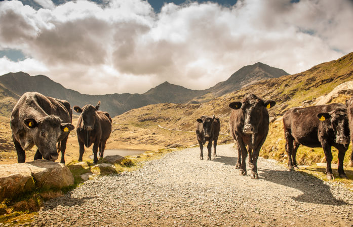 Snowdonia National Park