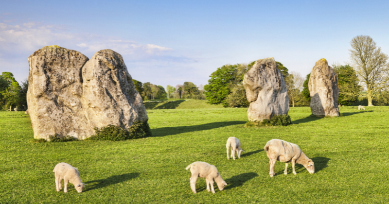 avebury stone circle rabbies tour