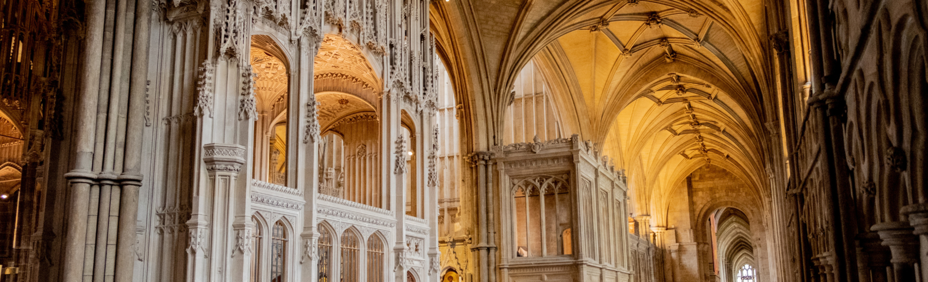 winchester cathedral