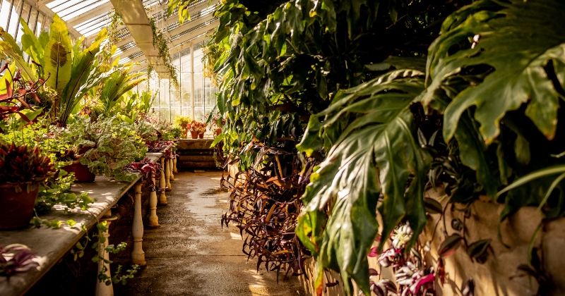 Osborne House Greenhouses