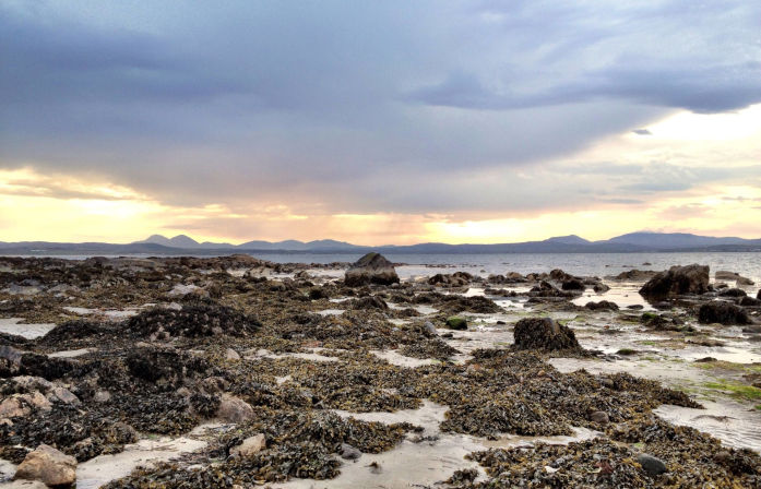 Isle of Islay Tours