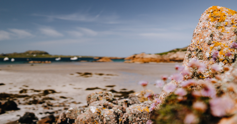 beach fionnphort