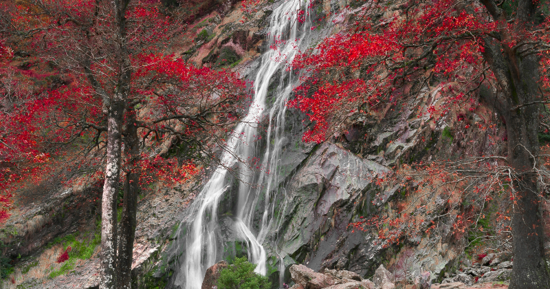 Powerscourt Waterfall