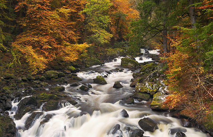 Dunkeld and the Hermitage