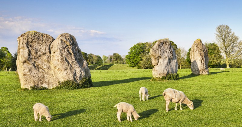 Should You Visit Stonehenge Or Avebury Rabbies Travelfeels - 