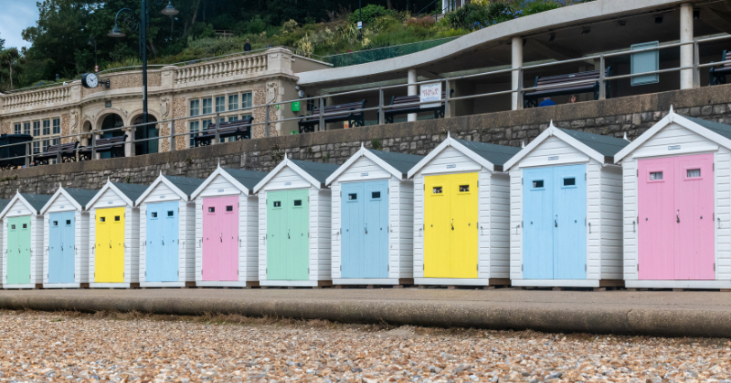 lyme regis rabbies