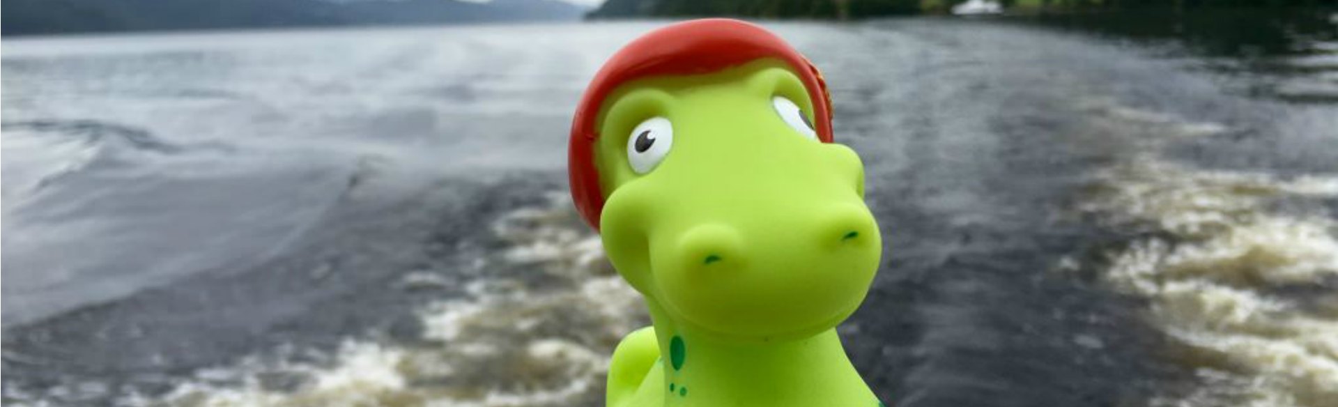 Did Migrating Miss find Nessie?