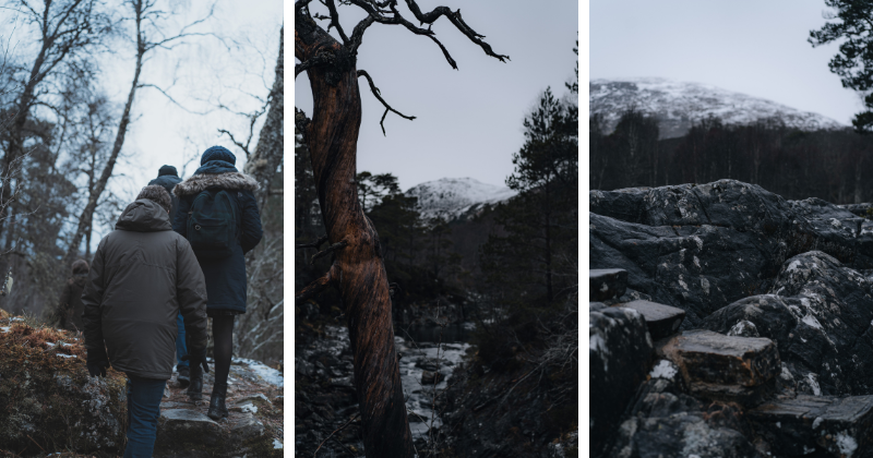 glen affric